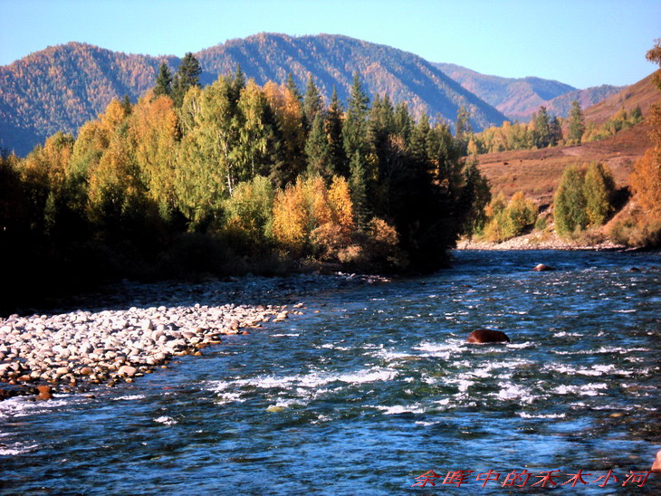dsc08614c13.jpg
