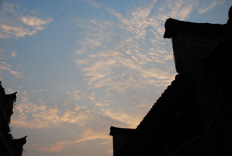 dsc_0388.jpg
