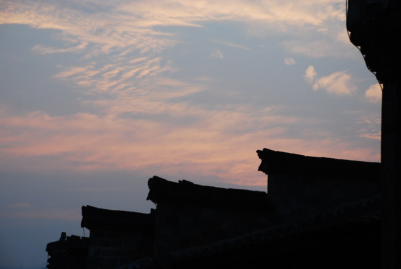 dsc_0393.jpg