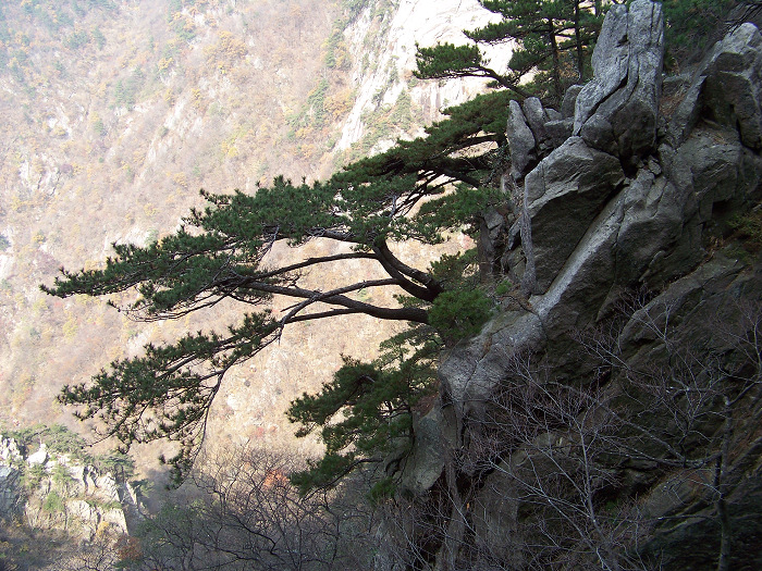 20101107jկ-˷ (19).jpg