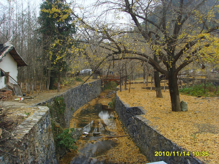 ssl28366_1.jpg