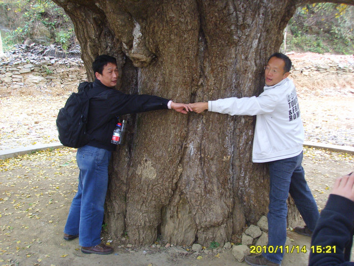 ssl28385_1.jpg