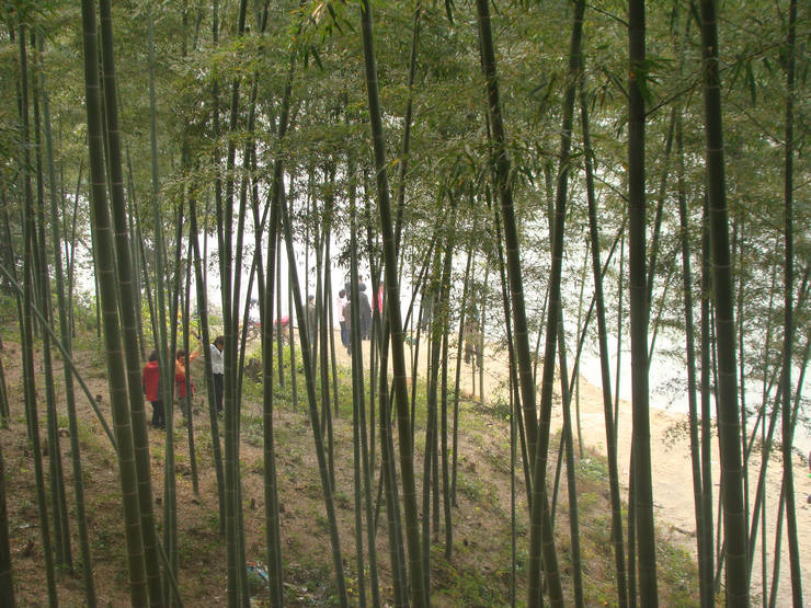 dsc06701.jpg