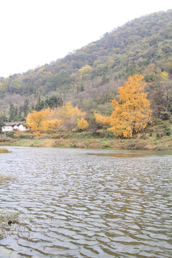 img_0334_Ǯ.jpg