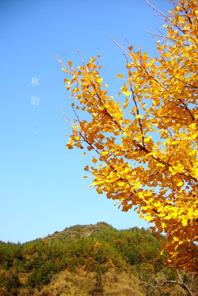 dsc01130.jpg