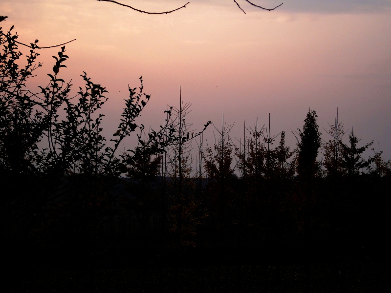 dsc02648.jpg