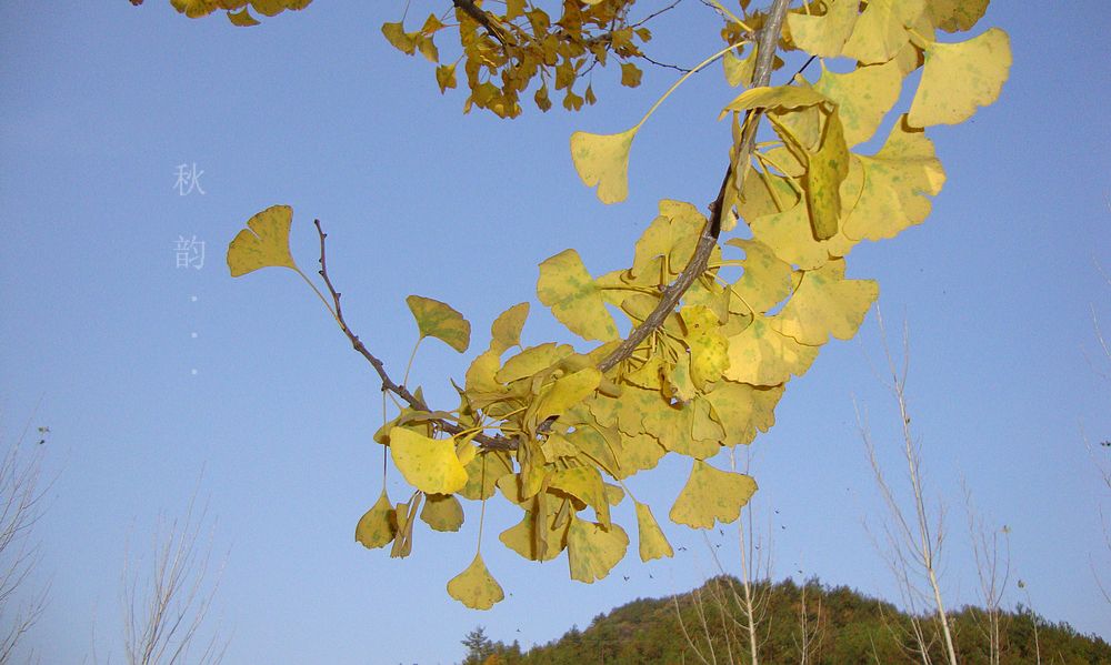 dsc01140.jpg