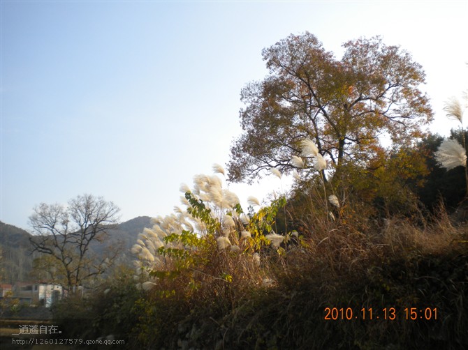 03.jpg