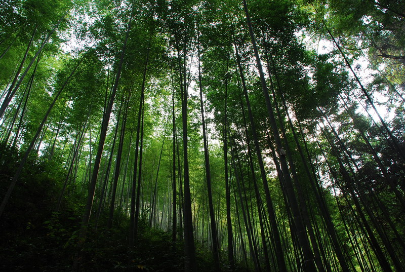 dsc_0472.jpg