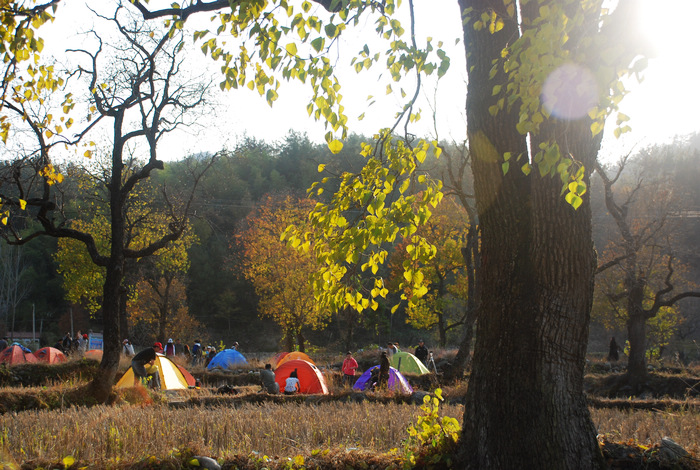 dsc_0024.jpg