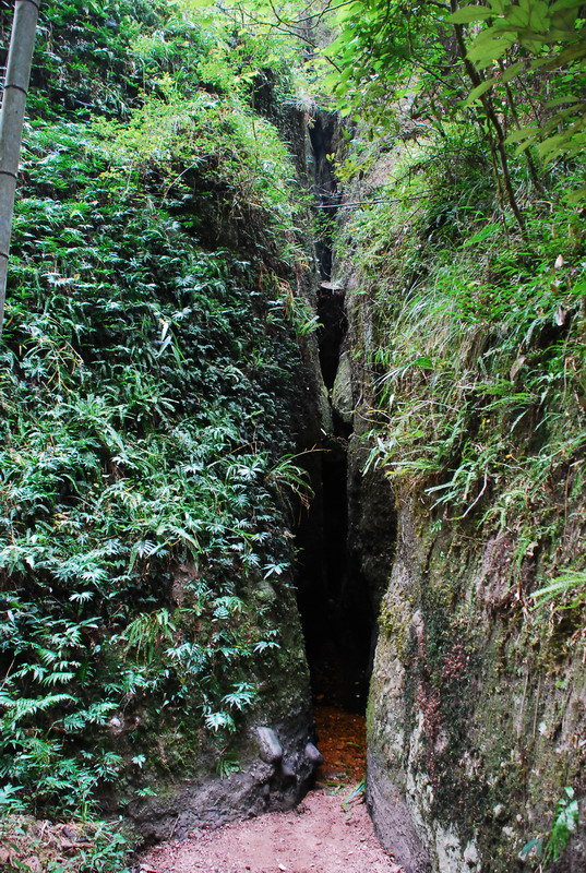 dsc_0506.jpg