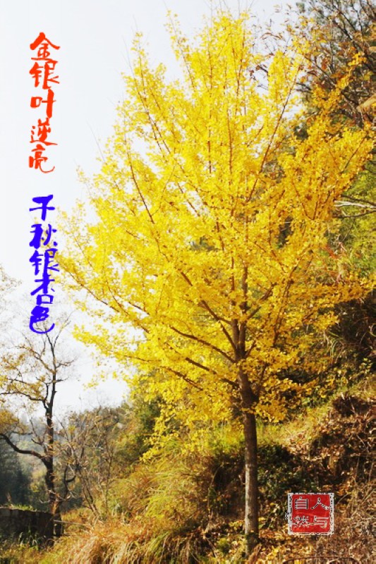 img_2330.jpg
