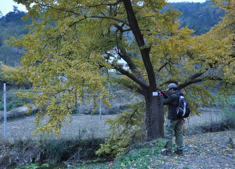 dsc_0007.jpg