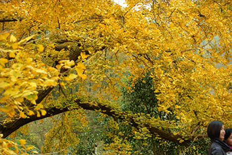 2010-Ǯ (28).jpg