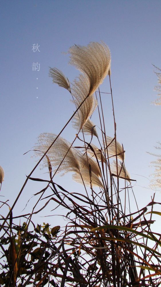 dsc01199.jpg