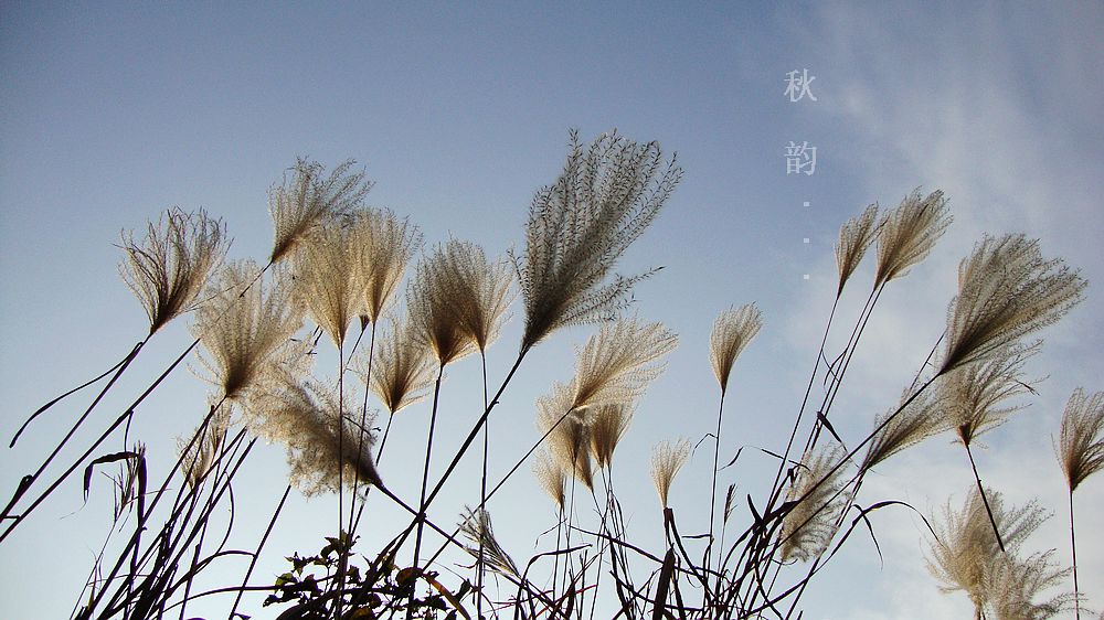 dsc01180.jpg