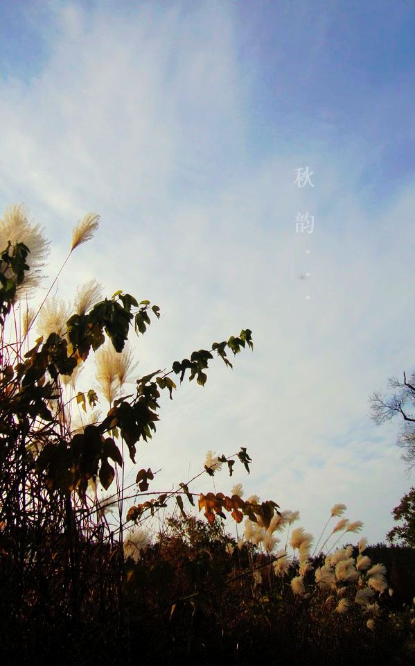 dsc01178.jpg