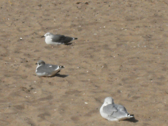 dscf1687.jpg