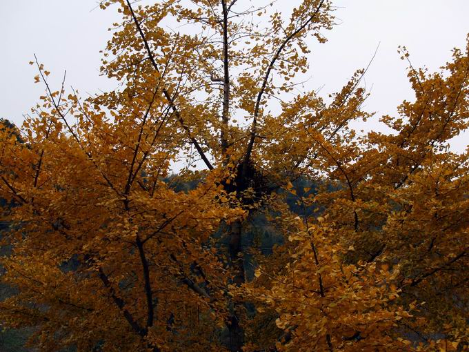 С pb144703.jpg