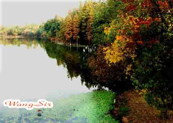 dsc_0028- .jpg