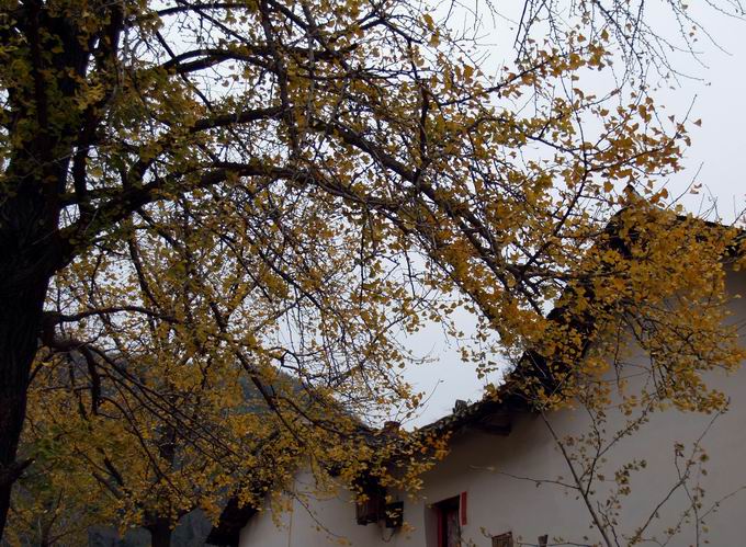 С pb144771.jpg