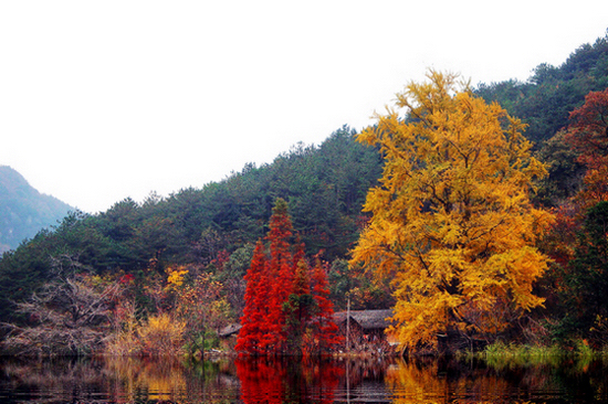 dsc0130400000aaaa.jpg