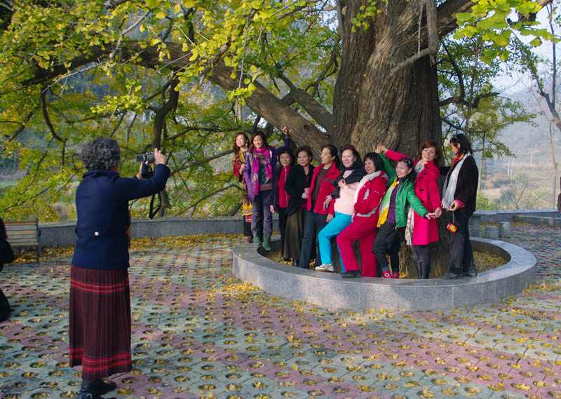 imgp9625-1.jpg