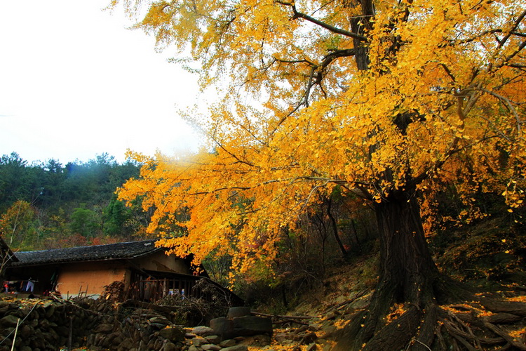 2010111402.jpg