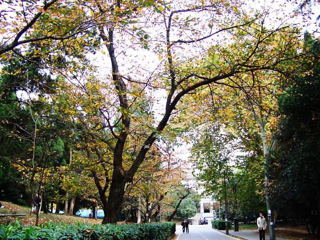 100_5422.jpg