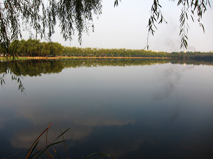 img_7724.jpg