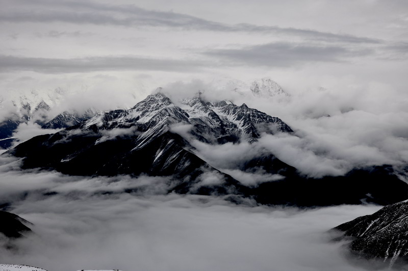 dsc_0787.jpg