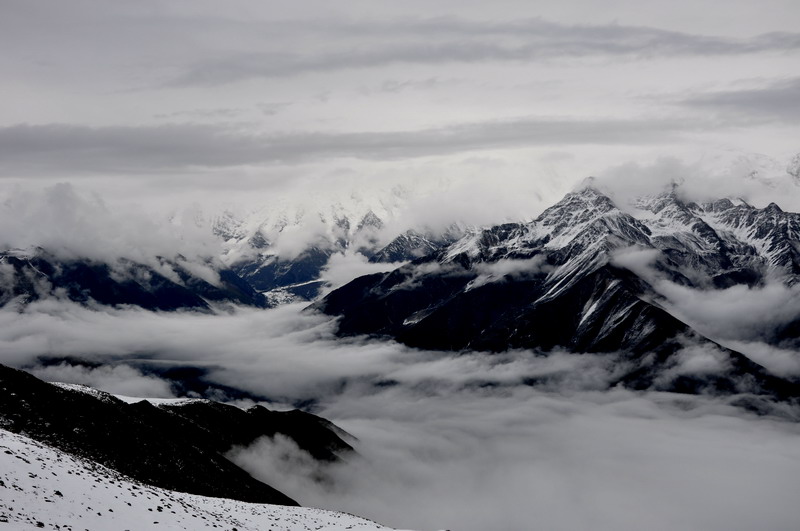 dsc_0788.jpg