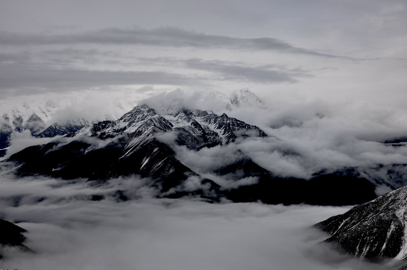 dsc_0801.jpg