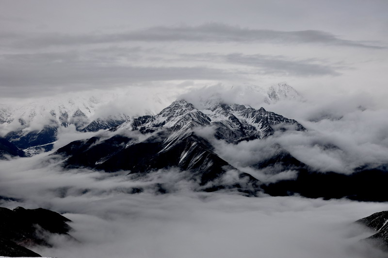 dsc_0806.jpg