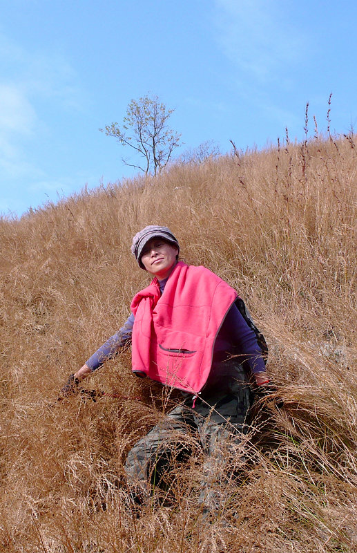 p1090737.jpg
