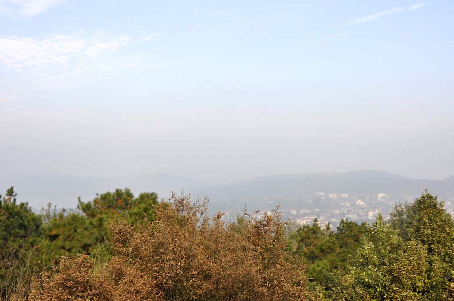_dsc0030.jpg