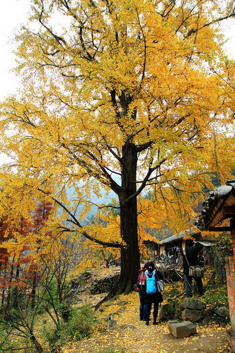 2010111406.jpg
