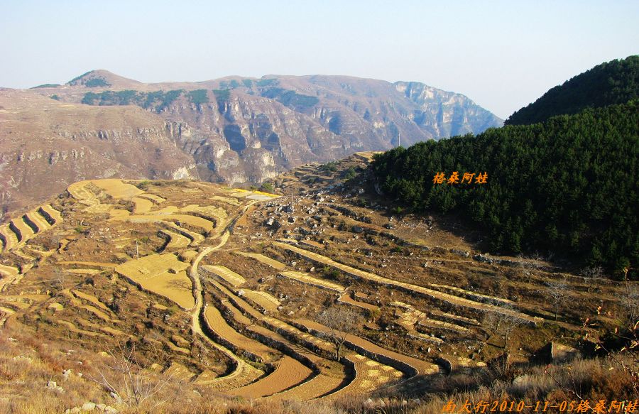 阿娃 232.jpg
