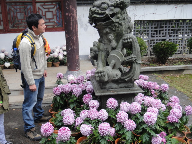 dsc07069.jpg
