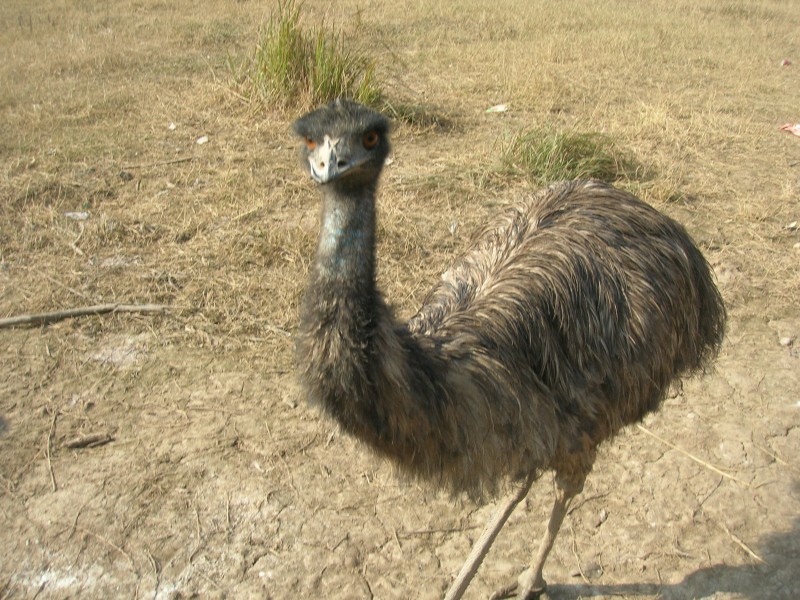 dscn4646.jpg