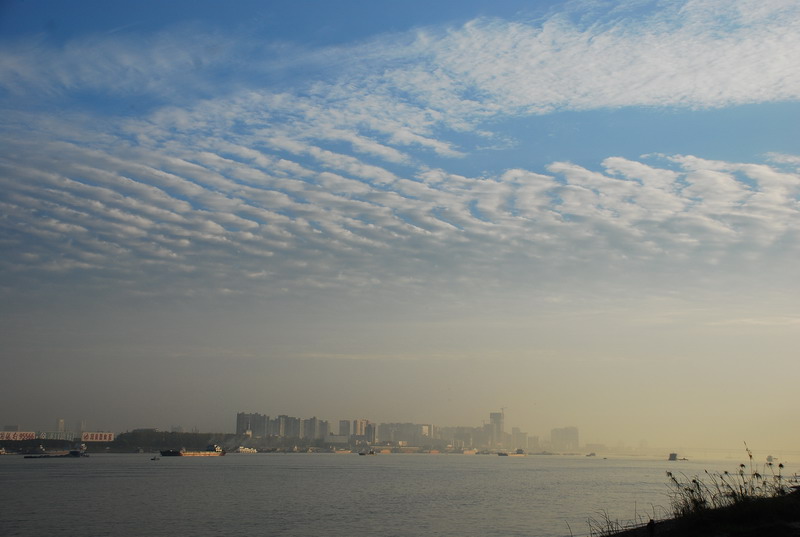 dsc_0109.jpg