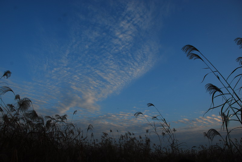 dsc_0185.jpg