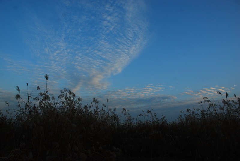 dsc_0190.jpg