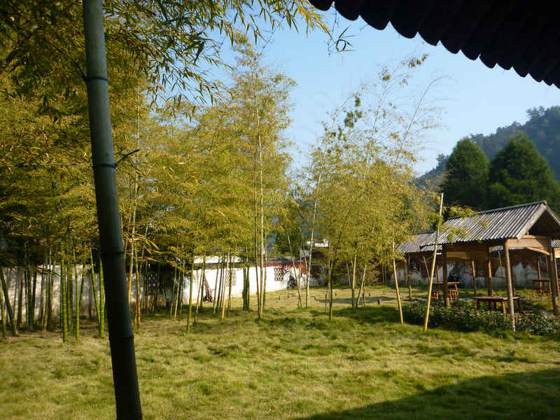 p1030613.jpg