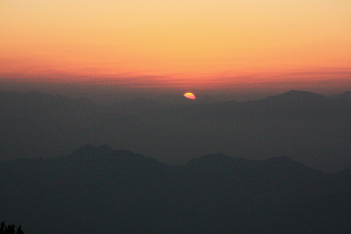 img_8392.jpg