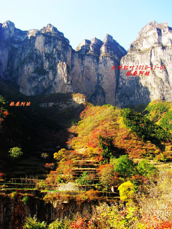 阿娃 101.jpg