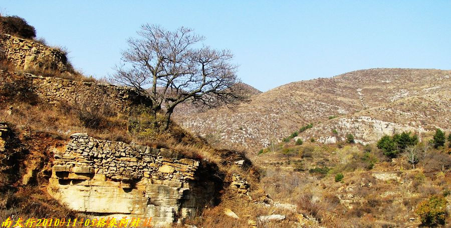  194.jpg