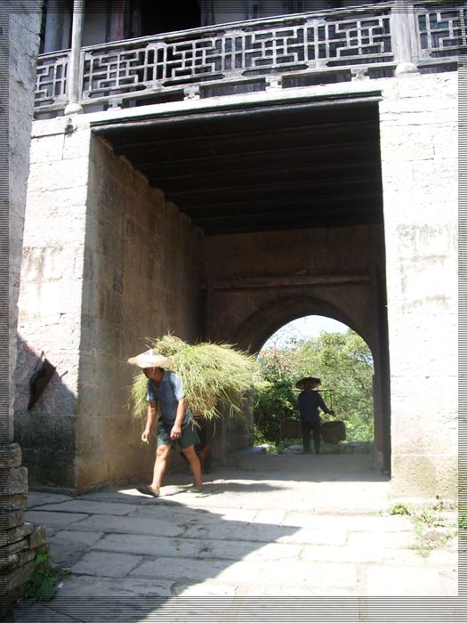 imgp0487.jpg