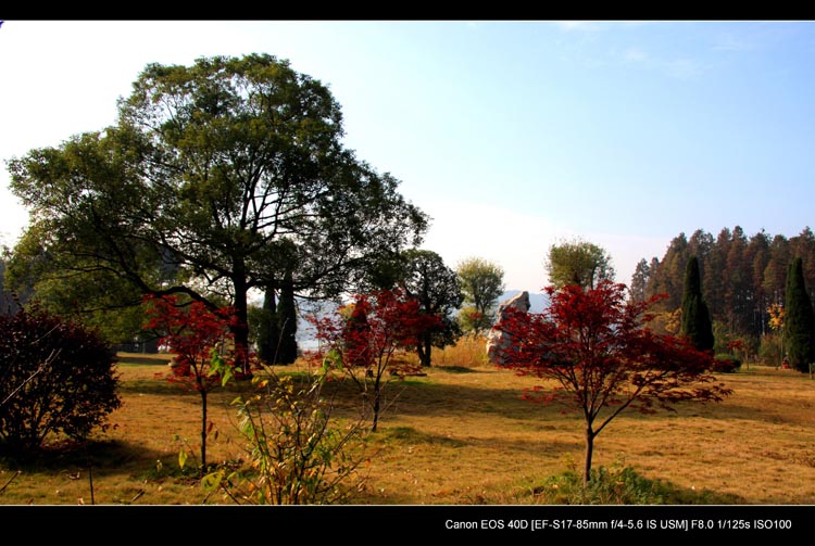 img_9874.jpg