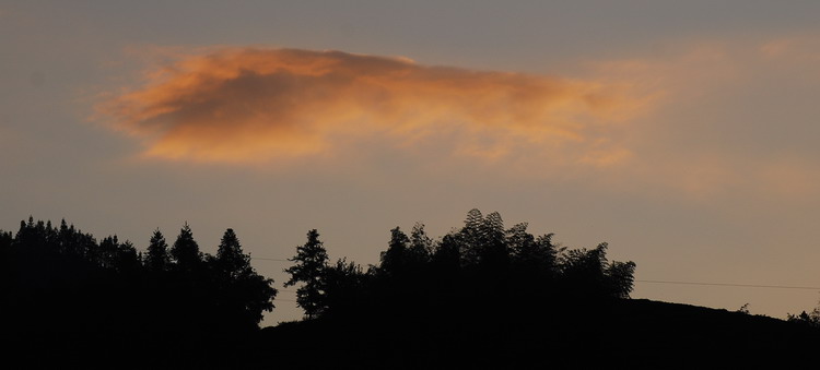 dsc_0584.jpg
